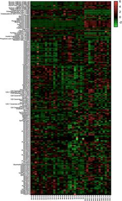 Maturation and culture affect the metabolomic profile of oocytes and follicular cells in young and old mares